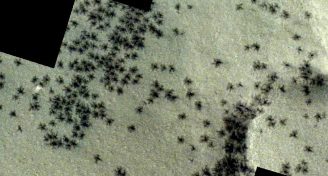 LA NASA LOGRÓ REPRODUCIR «ARAÑAS DE MARTE» EN EL PLANETA TIERRA: ¿DE QUÉ SE TRATA?