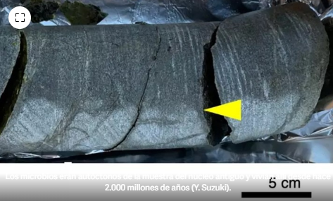 ENCONTRARON UNA ROCA DE 2.000 MILLONES DE AÑOS QUE ALBERGA MICROBIOS VIVOS