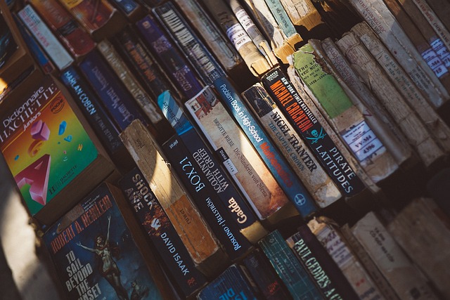 CONVOCATORIA A ESCRITORES Y PRODUCTORES LITERARIOS EN MISIONES