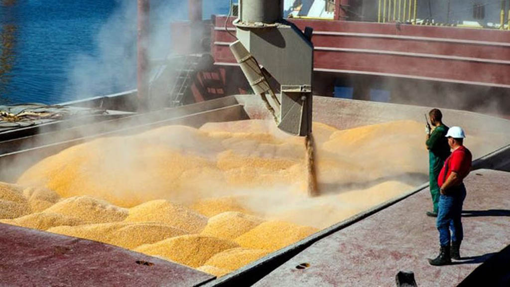 EXPORTACIONES AGROINDUSTRIALES CRECIERON UN 51% EN VOLUMEN