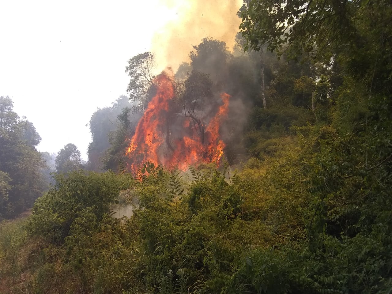 BOMBEROS LUCHAN CONTRA 21 INCENDIOS EN LA PROVINCIA