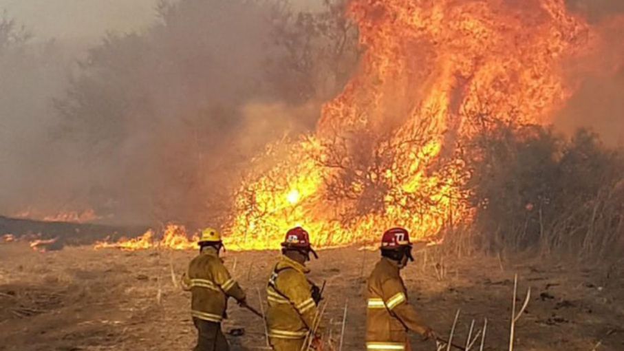 DECLARACIÓN DE EMERGENCIA ÍGNEA EN MISIONES
