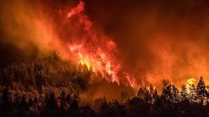 MÁS DE 3.500 HECTÁREAS CONSUMIDAS EN BARILOCHE