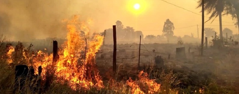 MISIONES EN ALERTA EXTREMA: EL 99% DE LOS INCENDIOS FORESTALES SON PROVOCADOS POR EL SER HUMANO