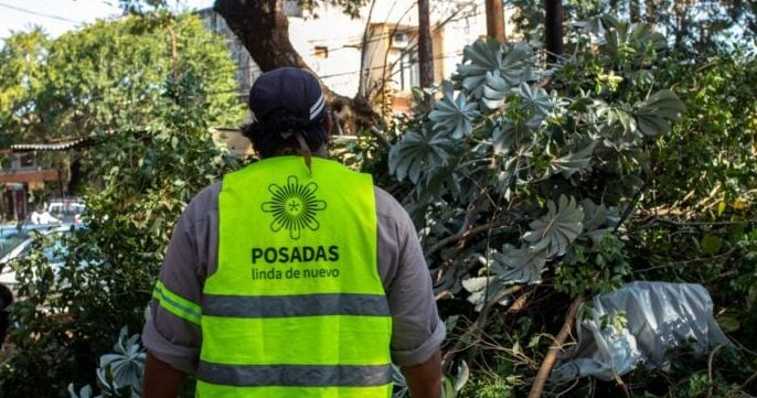En mayo iniciará el Operativo Integral de Poda en Posadas