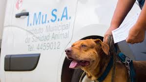 EL IMUSA CONMEMORA EL DÍA DEL ANIMAL CON UNA JORNADA SANITARIA