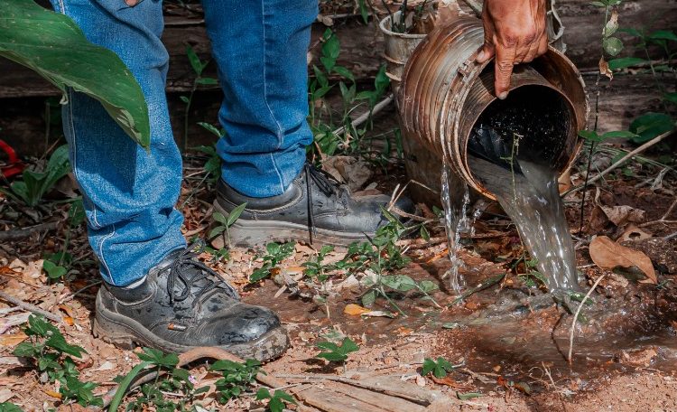 OPERATIVOS CONTRA EL DENGUE EN POSADAS