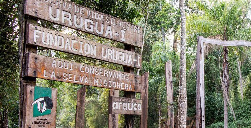 CAZA FURTIVA FRUSTRADA EN PARQUE URUGUAÍ