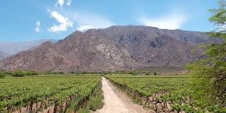 MILEI BAJA LAS RETENCIONES DE LOS AGRO-RURAL