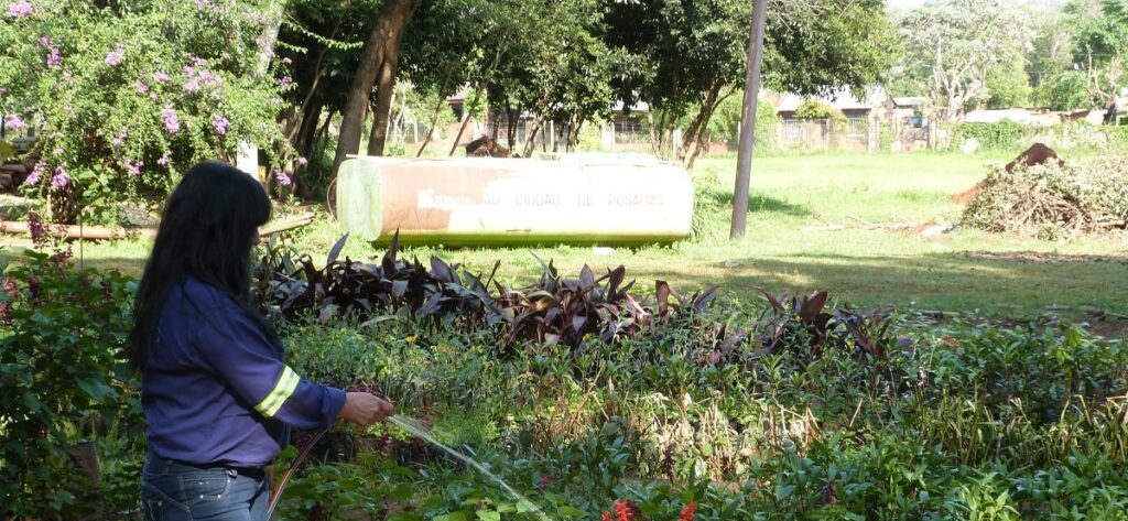 VIVERO DE POSADAS