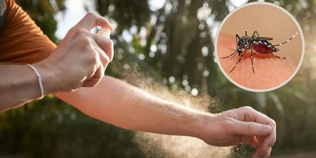 DENGUE EN POSADAS