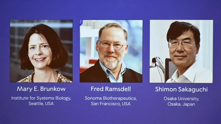 Pioneros en la tolerancia inmune periférica: quiénes son los científicos que reciben el Nobel de Medicina 2025