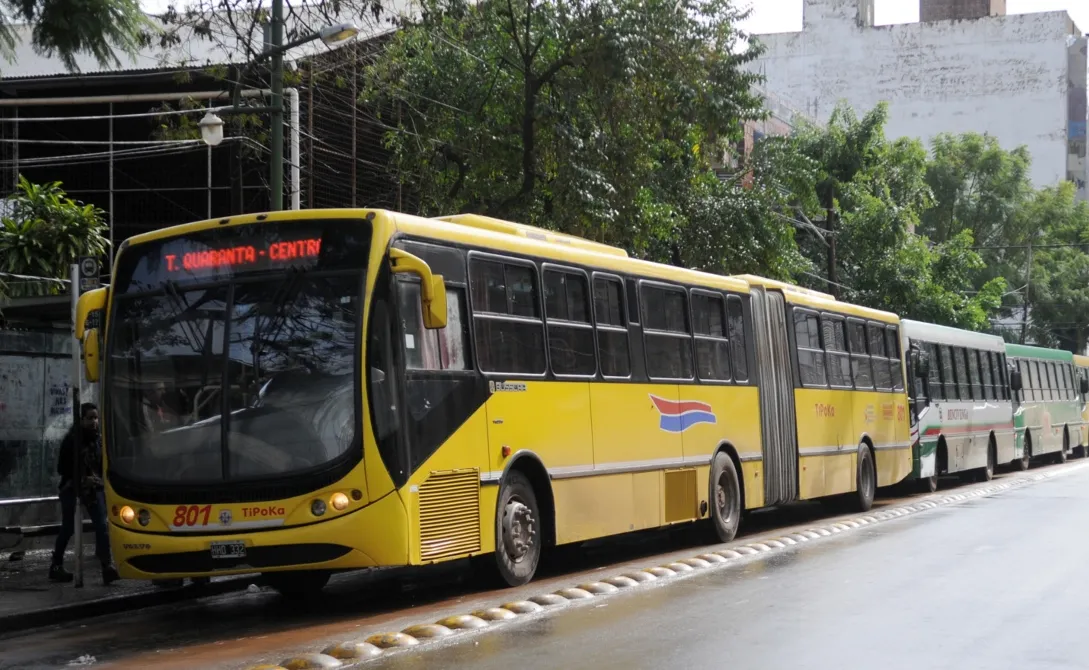 Transporte público gratuito en Misiones durante las elecciones